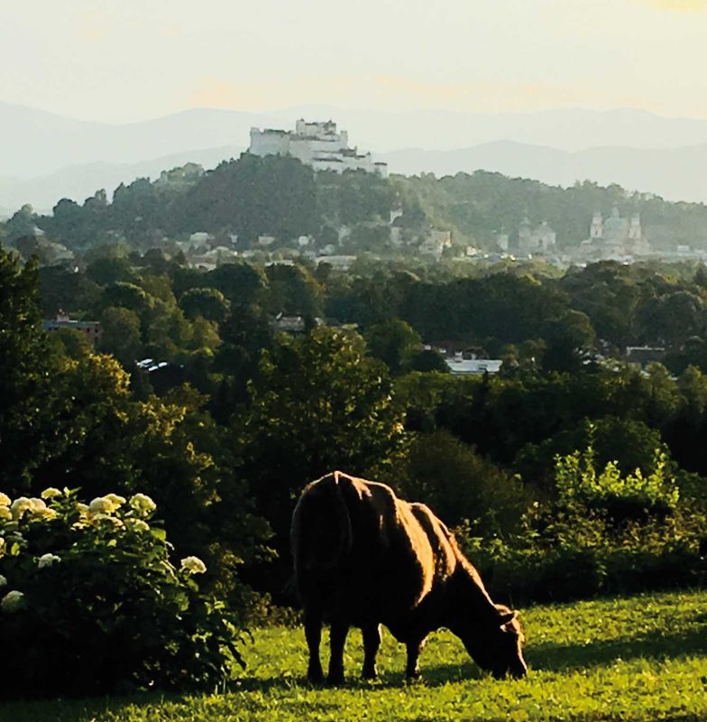 Farmers Club Salzburg