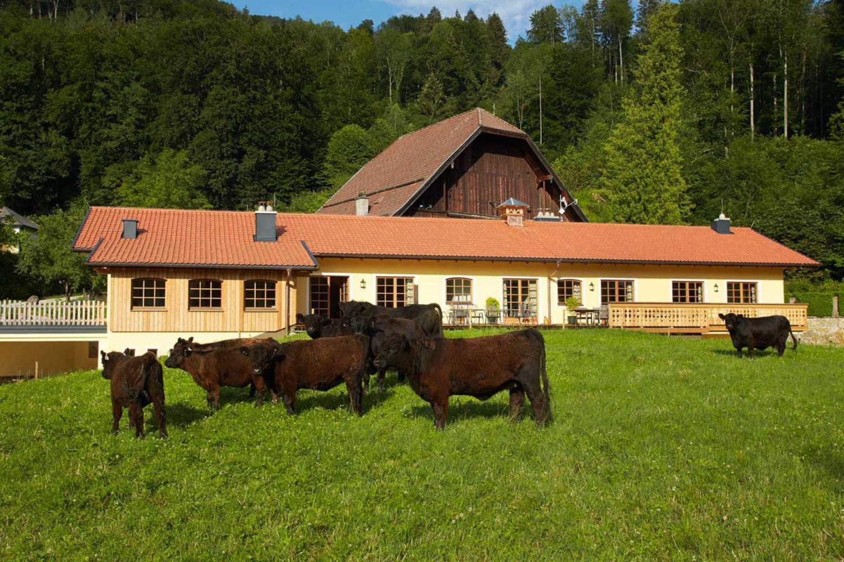 Farmers Club Salzburg