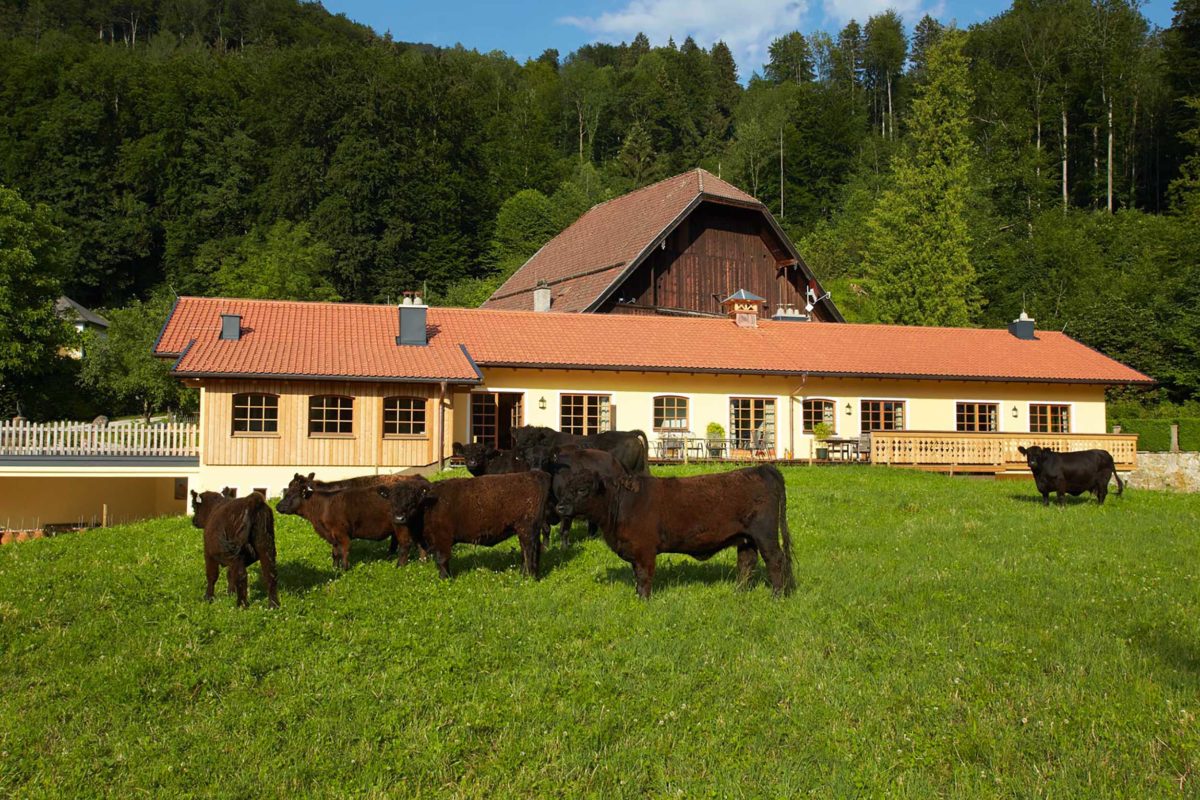 Farmers Club Salzburg